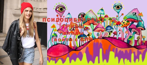 стаф Березники